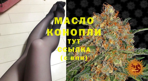 эйфоретик Гусев