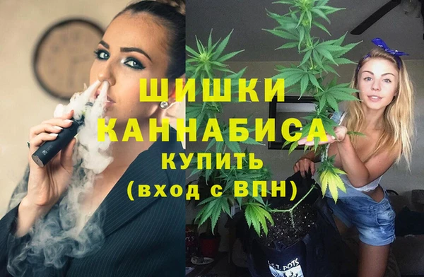 метадон Гусь-Хрустальный
