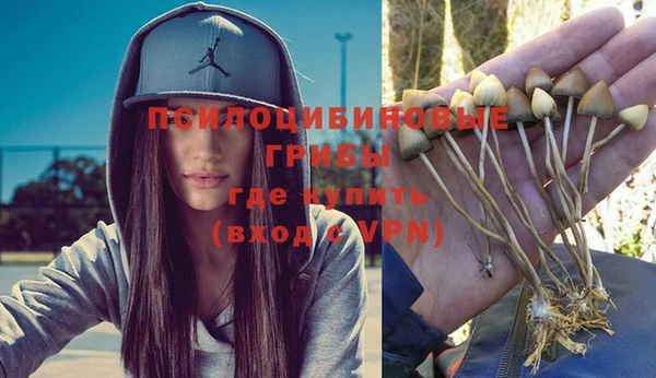 метадон Гусь-Хрустальный