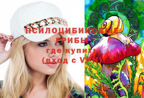 эйфоретик Гусев
