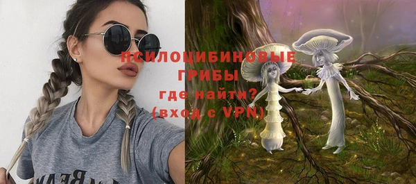 метадон Гусь-Хрустальный