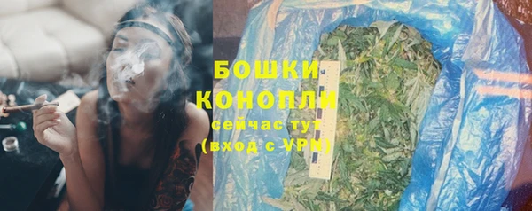 эйфоретик Гусев